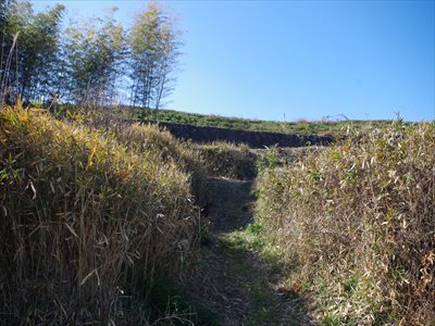 IMGP3023_R.jpg