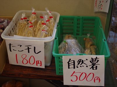 IMGP3096_R.jpg