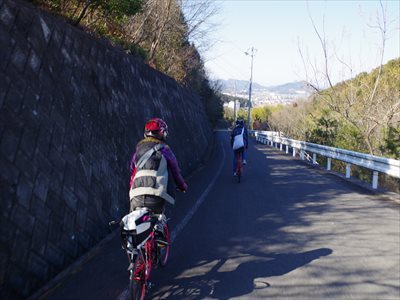 IMGP3168_R.jpg