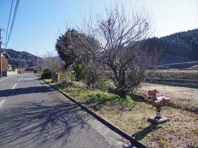 IMGP3180_R.jpg