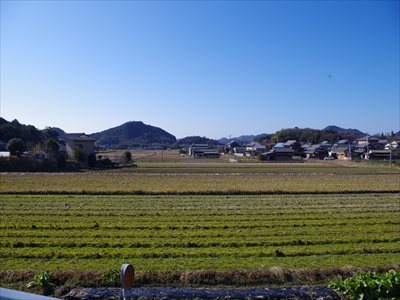 IMGP3205_R.jpg