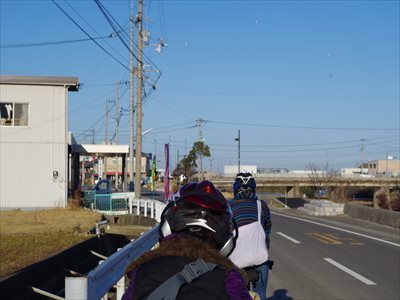 IMGP3287_R.jpg