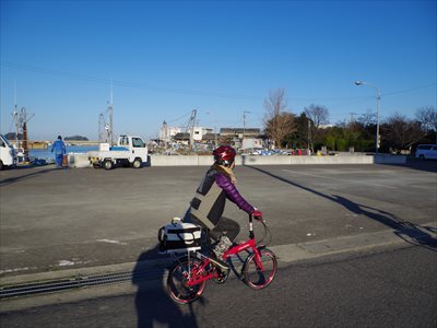 IMGP3297_R.jpg