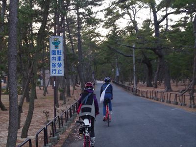 IMGP3320_R.jpg
