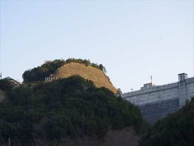 IMGP3550_R.jpg