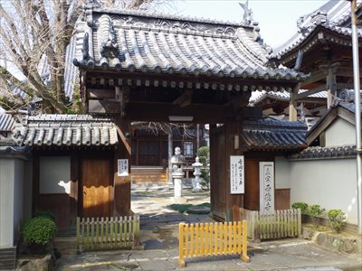 IMGP4006_R.jpg