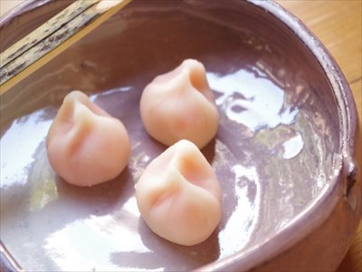IMGP4102_R.jpg
