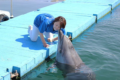 IMG_0030-e506a-thumbnail2-thumbnail2.jpg