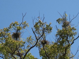 IMG_0176.jpg