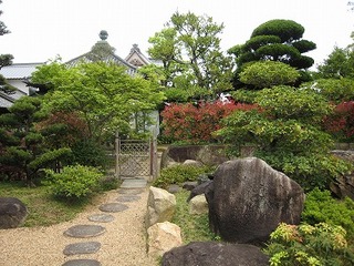 IMG_0517.jpg