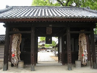 IMG_0528.jpg