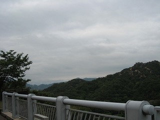 IMG_0782.jpg