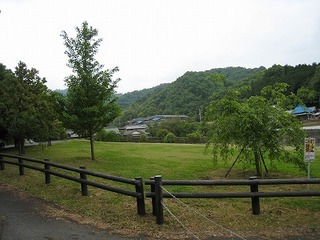 IMG_0786.jpg