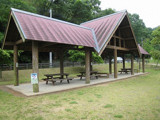 IMG_0792.jpg