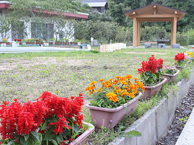 IMG_0805.jpg