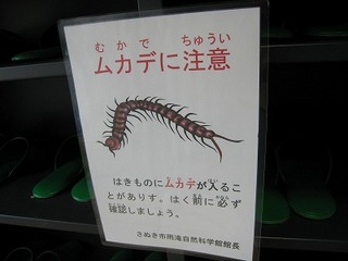 IMG_0836.jpg