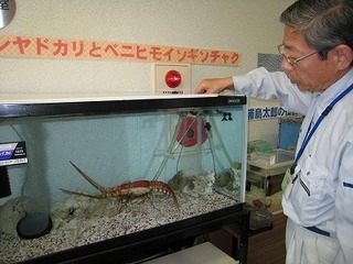 IMG_0869.jpg