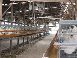 IMG_1056.jpg