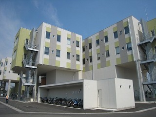 IMG_1133.jpg