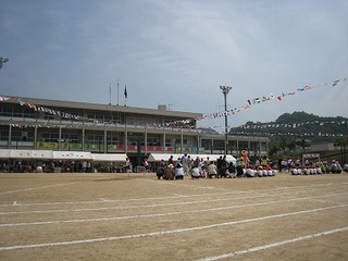 IMG_1347.jpg