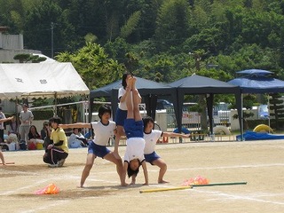 IMG_1376.jpg