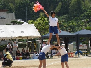 IMG_1378.jpg
