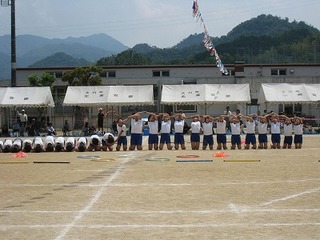 IMG_1379.jpg