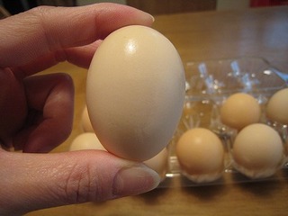 IMG_1467.jpg