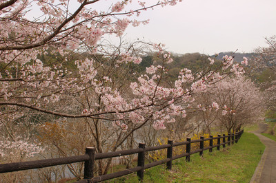 IMG_1605-3e54b-thumbnail2.jpg
