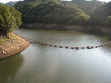 IMG_1635.jpg