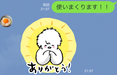 IMG_1673.PNG