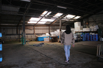 IMG_1774-db704-thumbnail2.jpg