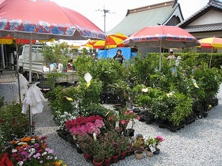 IMG_1877.jpg