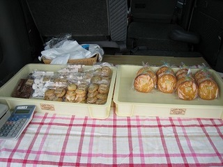 IMG_1937.jpg