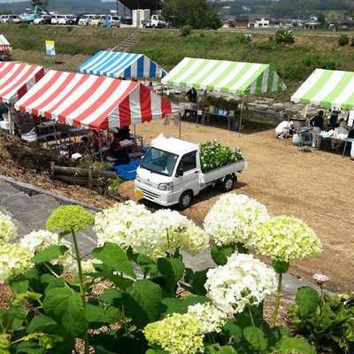 IMG_20130616_103426.jpg