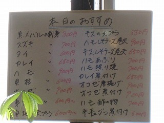 IMG_2153.jpg