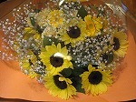 IMG_2192.jpg