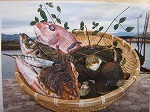 IMG_2201.jpg