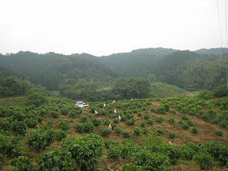 IMG_2225.jpg