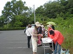 IMG_2372.jpg