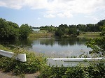 IMG_2384.jpg