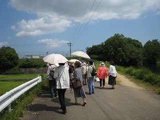 IMG_2385.jpg