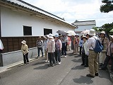 IMG_2387.jpg