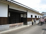 IMG_2389.jpg