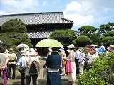 IMG_2414.jpg