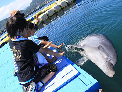 IMG_2423-thumbnail2-a1b2a-thumbnail2.jpg