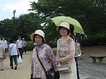 IMG_2436.jpg
