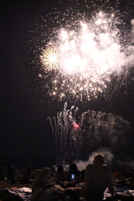 IMG_2445.JPG