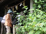 IMG_2459.jpg