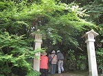 IMG_2463.jpg